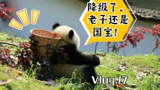 都降级了 ！！还搁这吃！！