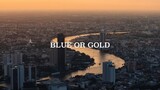 Blue or Gold ?