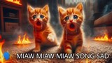 miaw miaw miaw song sad (lyrics video)