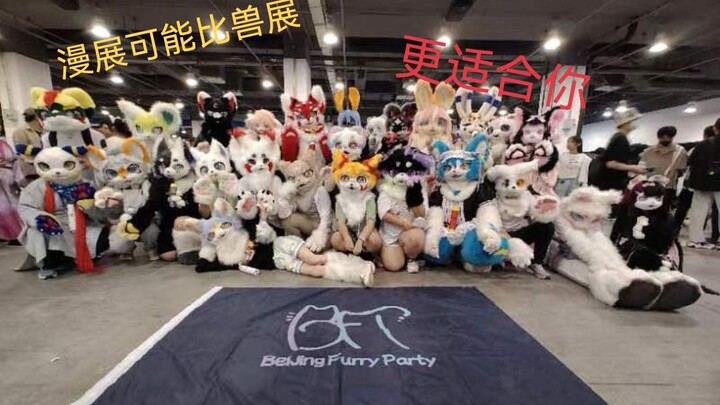 Maybe a manga convention would suit you better