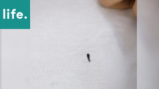 Các mẹo hay và đơn giản cần lưu ngay phần 3 #Mẹo_vặt_cuộc_sống