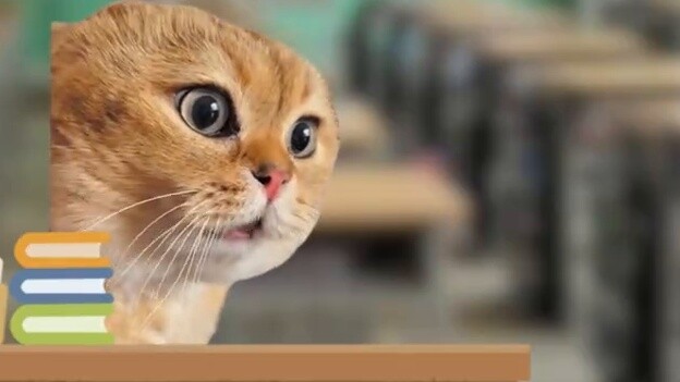 【Meme kucing】Guru, saya benar-benar laki-laki