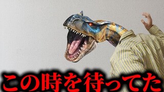 【Mهاشي شوهو】وحش يفرح بشدة لأن السيد الأوحد قد اختفى