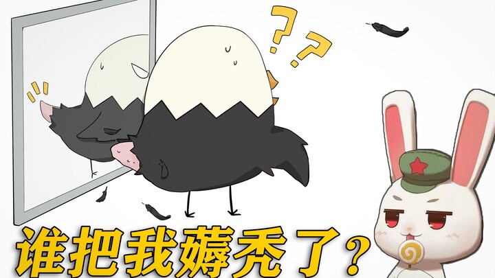 Eagle-chan: Huh? Why am I bald?! What If Countries Had WeChat Groups 11.0