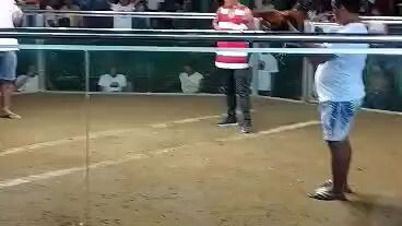 JR3 CHAMPION 1 @ MACI MEDELLIN