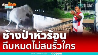 พี่ช้างอารมณ์ร้อนถีบรั้วโรงเรียนหาทางออก | เรื่องร้อนอมรินทร์