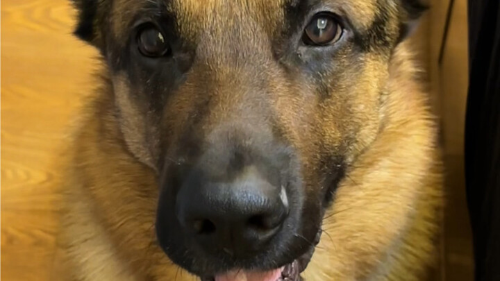 Hertz: Bukan, darimana dia tahu?