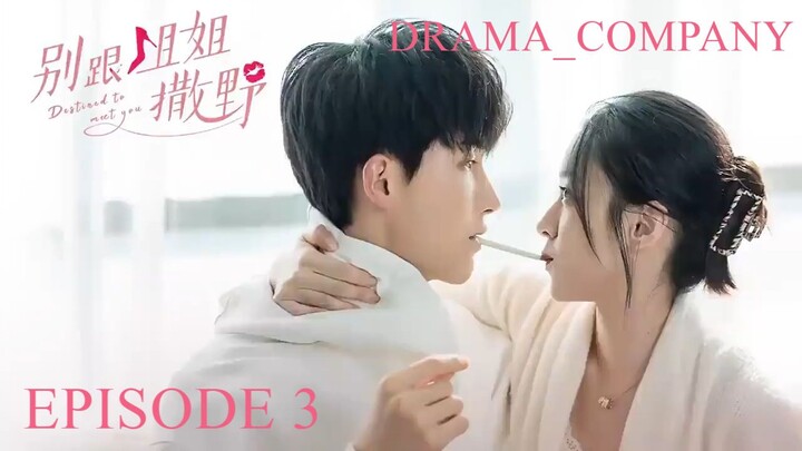 🇨🇳 Destined To Meet You (2022) | Episode 03 ENGSUB