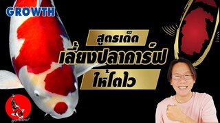 สูตรเด็ดปลาคาร์ฟโตเร็ว แค่ทำแบบนี้  l คุณพ่อคราฟ