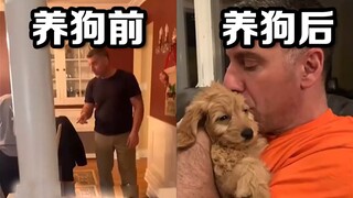 当年不给养狗的老爸，如今的“真香现场”——