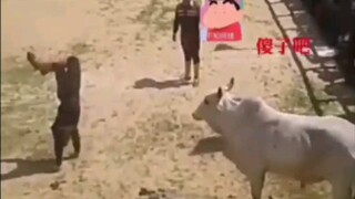 卧槽！这也太帅了吧