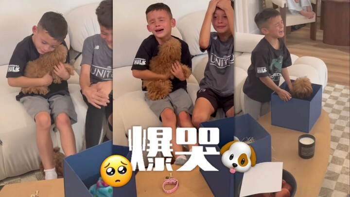 رد فعل الولد الطيب بعد تلقيه هدية جرو صغير 🥺🐕