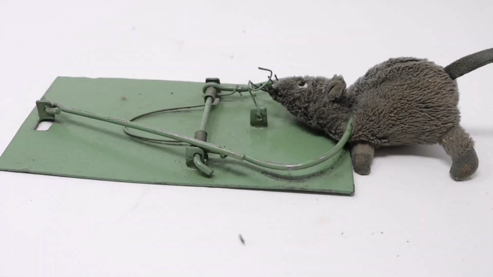 Penemuan besar Maxim lainnya: perangkap tikus lipat pegas torsi (perangkap tikus kuat militer Soviet