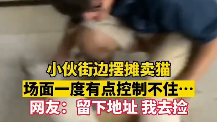 “小伙摆摊卖猫，猫想走小伙想留，它走他抓，它插翅难飞”
