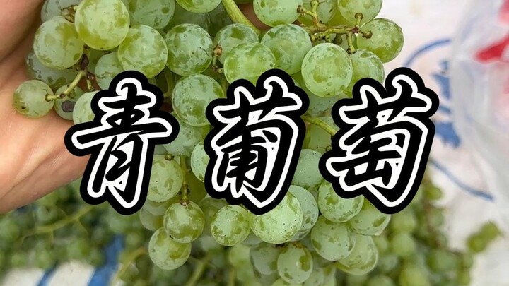 Have you ever eaten green grapes?