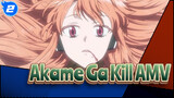 Akame Ga Kill AMV_2