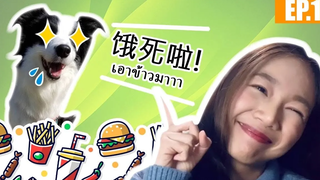 Ep5 ฝึกภาษาจีน นั่วหมี่ รีวิวภาษา ep1 jamjoinin นั่วหมี่รีวิวจีน jamjoinin