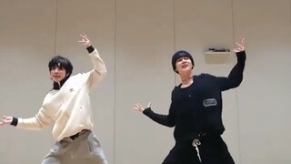 【崔然竣&姜太显】太好了是猫猫z！we poppin like黑猫白猫 都是好猫 250216Tik Tok更新