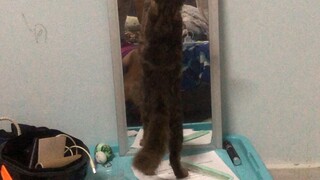 เ