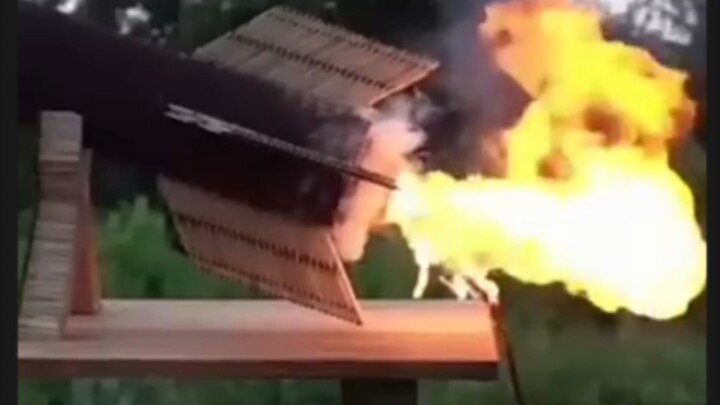 لم تمسحها عندما كنت صغيرًا، فماذا عنك الآن بعد أن كبرت؟