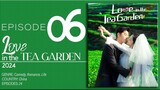 🇨🇳EP6 Love In The Tea Garden (2024)