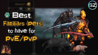 Vampire's Fall: Origins - BEST FAMILIARS (PETS) TO HAVE FOR PVE/PVP - Guide