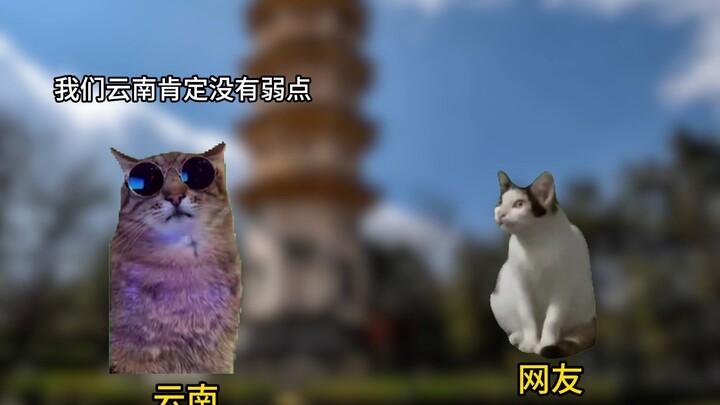 ประโยคหนึ่งอธิบายการป้องกันของจังหวัดต่างๆ