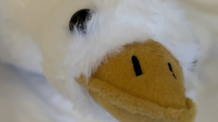 Now, let’s welcome my good friend Yaya to say a few words!