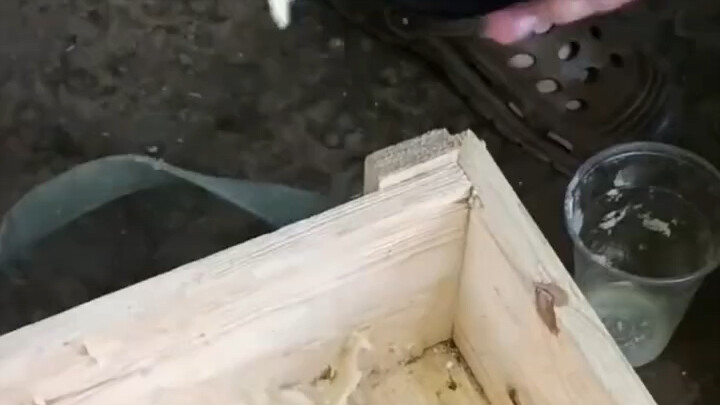 Some people actually chew C4 like chewing gum, and even use it to start fires for warmth? Is this fo