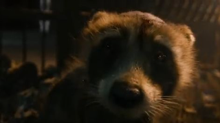 Rocket Raccoon