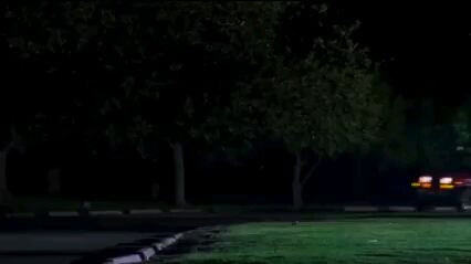 🐍 Mega Python vs. Gatoroid (2011)