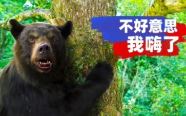 “Cocaine Bear” diadaptasi dari peristiwa nyata tahun 1985—jangan sekali-kali meniru tingkah si berua