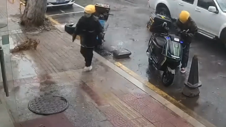 这个树怎么又稳重又有责任心，最后一刻不伤害任何人