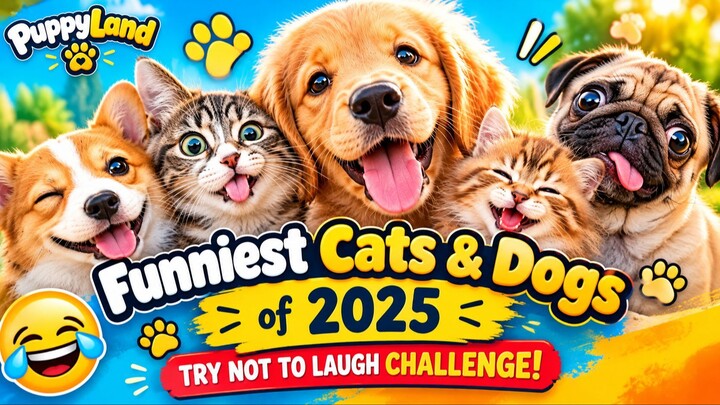 Funniest Cats & Dogs of 2025 🐾😂 | Try Not To Laugh Challenge!