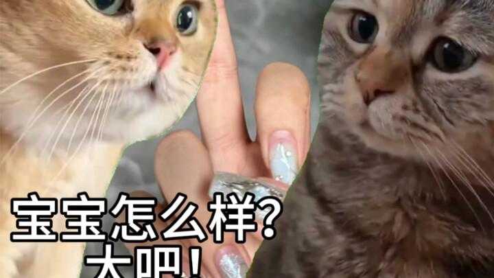 It’s small and quite cute.