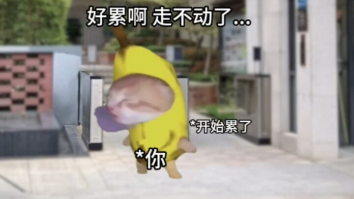 The Physical Condition of Today’s Young People