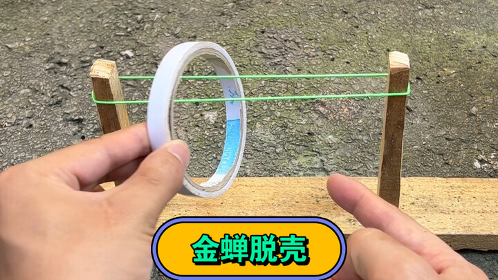 Ảo thuật thoát xác kim thiền