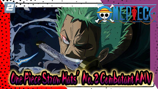 So This Is the Straw Hats’ No. 2 Combatant?_2