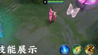 What is an appropriate price for homemade skin?