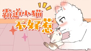 Mèo con: Nhìn gì thế? Nhìn nữa là tao ăn thịt mày đấy~