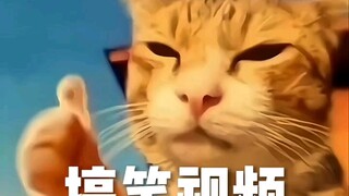 每日份功德