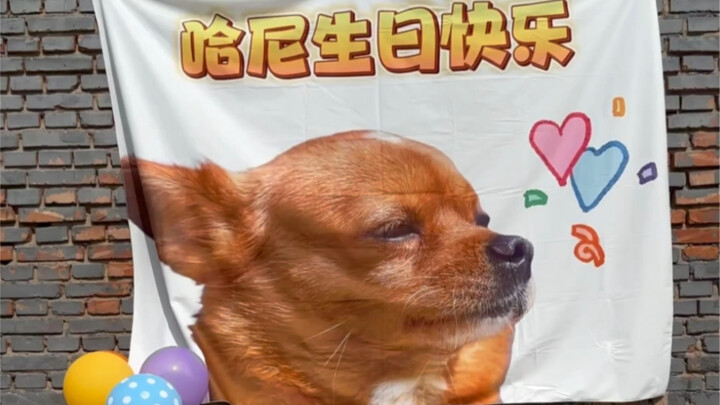 วันเกิดอายุ 8 ขวบของฮานี
