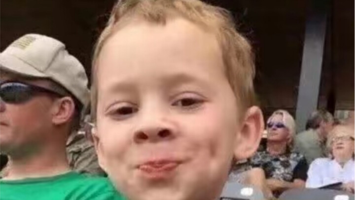 Hươu cao cổ: Có chuyện gì à?