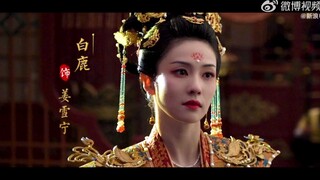 【宁安如梦】首爆杀青特辑！白鹿张凌赫王星越周峻纬主演！重生题材！