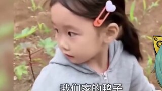 Jam Tangan Leek Jepang "Animal Confused Behavior Awards 172"