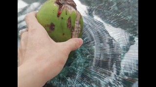 Tôi may mắn nhặt được một quả. Nghe nói thứ này rất đắt.