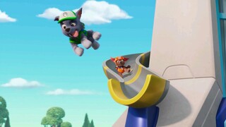 paw patrol musim 11 Episode 11 Original. Link di komentar)