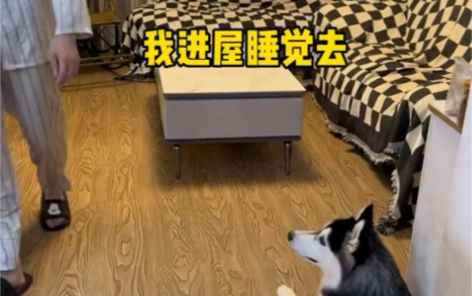 Don’t Break Up! Dad, You Can’t Escape No Matter How You Try!