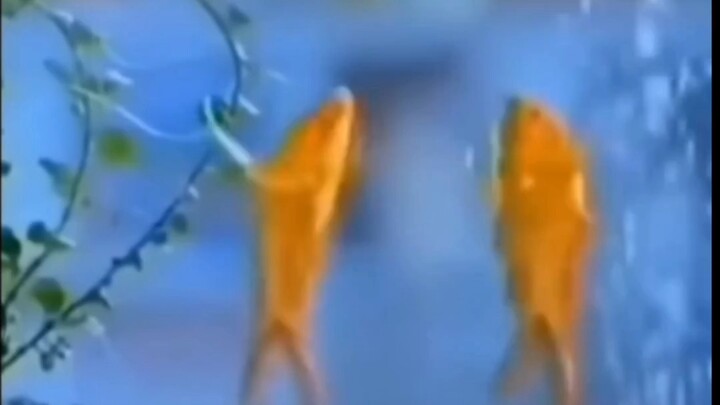 This water is powerful!