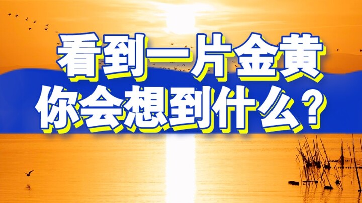 Apa yang terlintas di pikiranmu saat melihat hamparan warna kuning keemasan di depan mata?